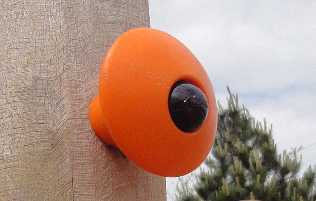 The climbing holds