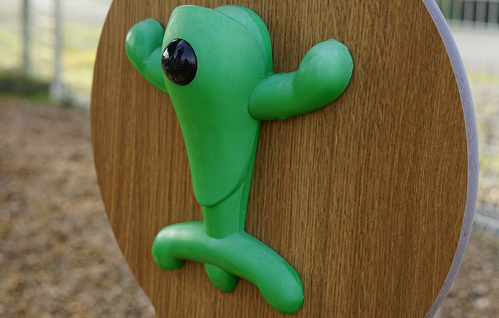 The climbing holds