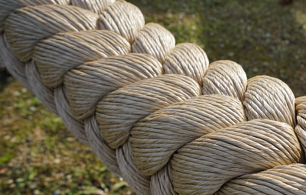 The rope