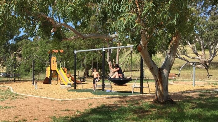 Swing set at Avoca Dell Reserve Playground
