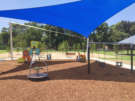 Carousel and swing at Eastlakes Reserve Playground