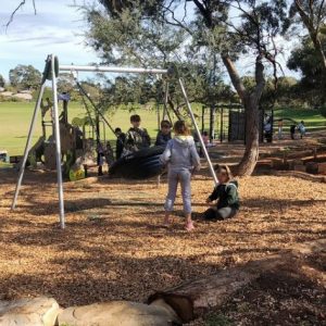 Swing at Rowe Park Ingle Farm Sporting Club Playground
