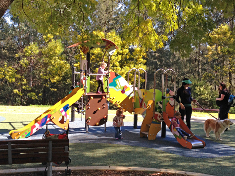 Tench Reserve Playground