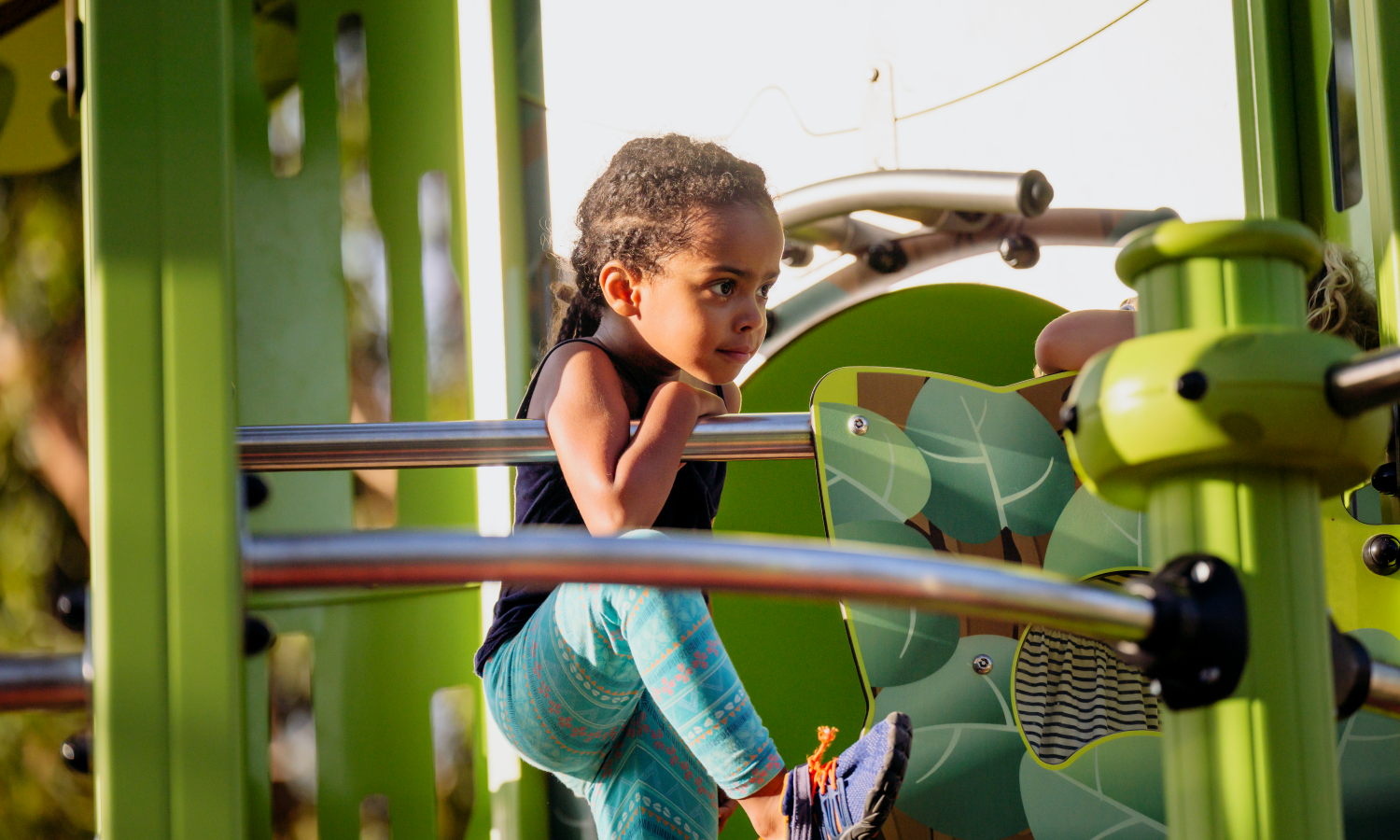 Championing Sustainability: Our environmental journey