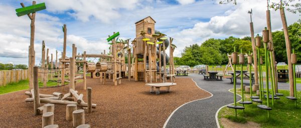 A natural play area featuring local flora and fauna