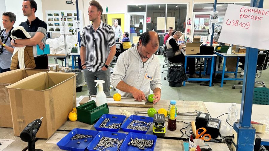 Inclusion meets employment