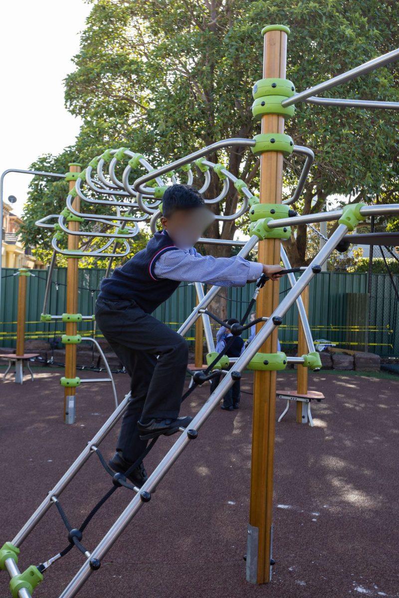 Brighton Grammar Junior School Playground Ixo climbing structure