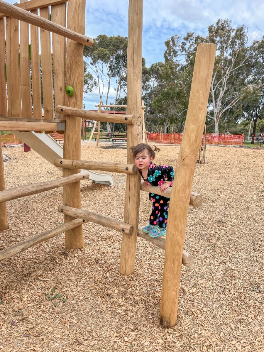 Origin' nest tower made from natural wood at Cox Reserve Playground