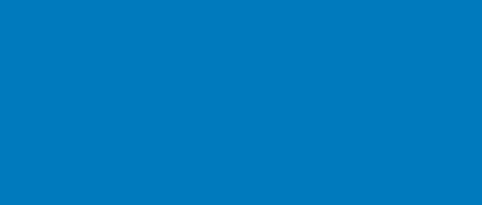 The EMAS Environmental Statement