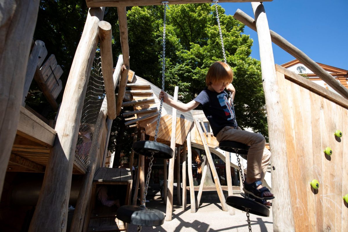 Balancing Trail Robinia Wood Play Equipment